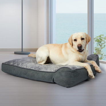 Orthopedic Memory Foam Cushion Mattress Pet Bed Lifestyle
