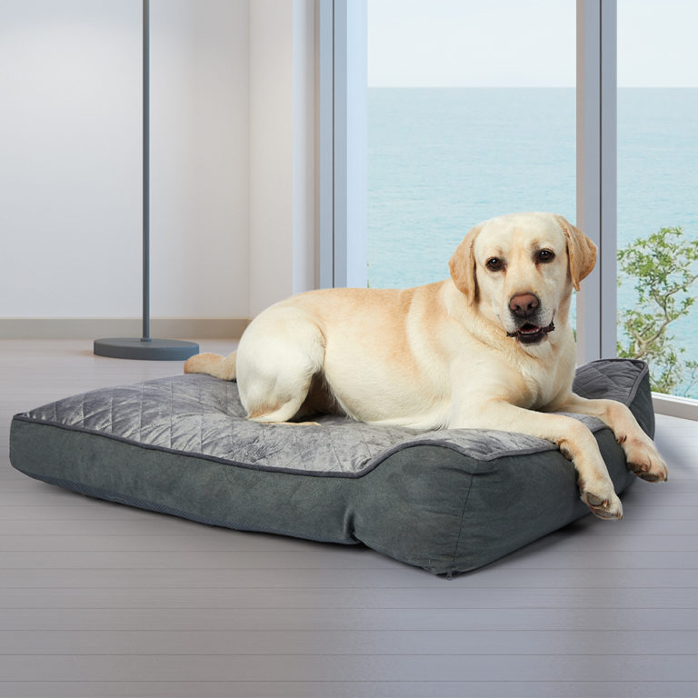 Calming Dog Beds Australia - Pet Beds for Dogs & Cats - Delivery ...